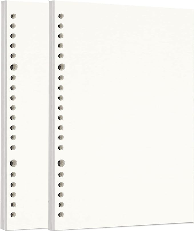 Zelten Loose Leaf Punched Paper Refills Paper for Personal Organizer Diary Notebook Refillable Planner (Sketch, A5/20 Hole)