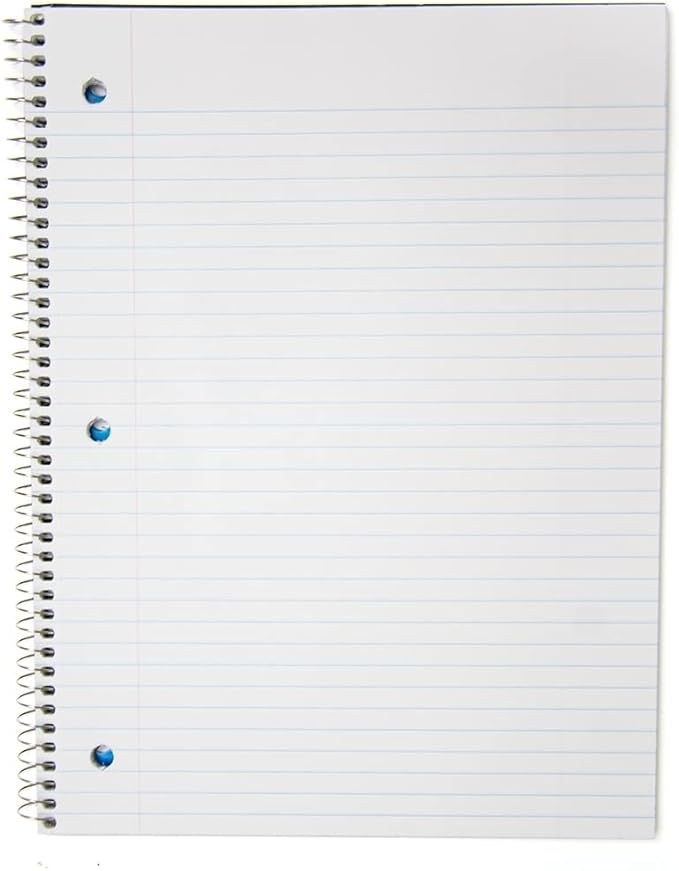 Top Flight Standards 5-Subject Wirebound Notebook, 200 Sheets, 3-Hole Punched, College Rule, 10.5 x 8 Inches, 1 Notebook, Color May Vary (31820) (Pack of 2)