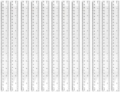 Clear Plastic Ruler, 12 Pcs 12 Inch Double Scale in Centimeters and Inches for Study and Work (12)