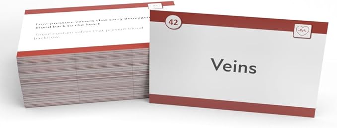 Medical Terminology Study Cards 2026-2027: Med Term Review for Health Professionals [Full Color Cards]