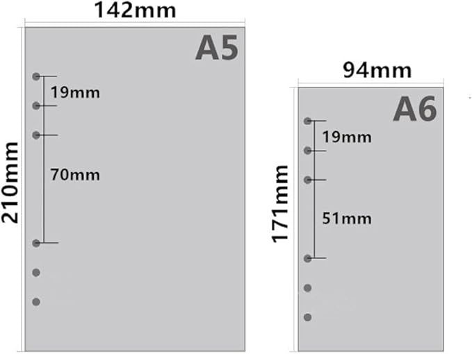 A6 Planner Inserts Binder Refill Paper,for Filofax/6 Ring Notebook Budget Binders, 45 sheets/90pages, 100Gsm Quality, Harphia (A6 3.74 x 6.77'',Finance)
