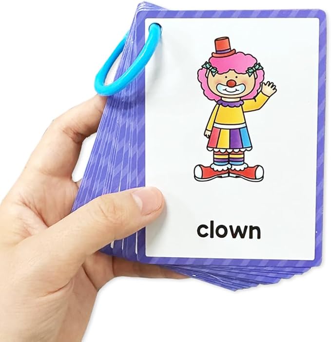 Lachilly 12 Themes Learning Flashcards, High Frequency Words, Beginning Reading, Kindergarten to 1st Grade, ESL Teaching Materials, Autism Learning Materials, Vocabulary Building, 205 Cards, 386 Words