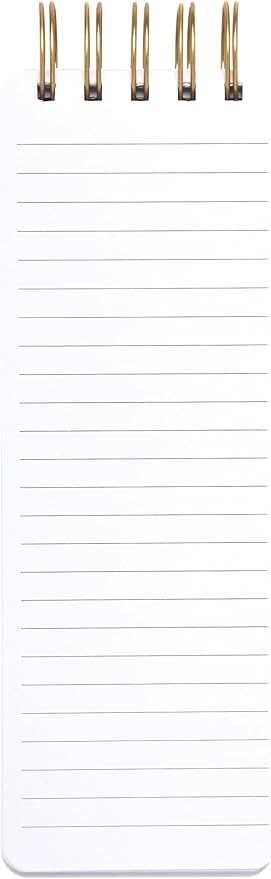 Eccolo Dayna Lee Collection Go-Getter Pink "I Have So Many Ideas" 3" x 8.5" Hardcover Spiral Memo Pad, 300 Pages