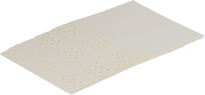 B5 Refill Paper 9 Hole Punched Filler Paper Refills for B5 Loose Leaf Notebook Travel Journal Personal Diary Planner Binder Scrapbook, 80 Sheet, 160 Page, Blank Paper, 6.9 Inches x 9.8 Inches