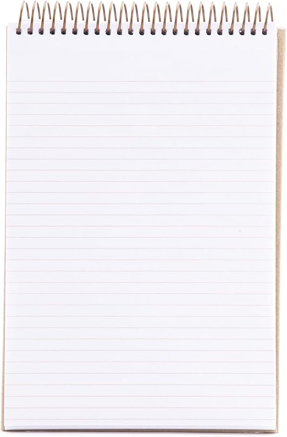 Mintra 100% Recycled Notebooks (Steno Book, Kraft Cover 3pk)