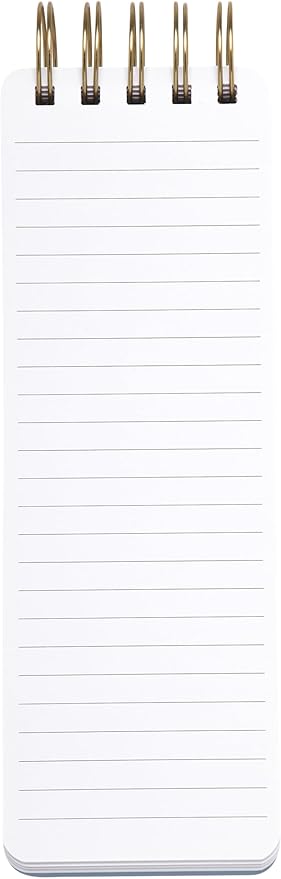 Eccolo Dayna Lee “Own The Day” Spiral Memo Pad, Hardcover, 300 Pages, 3x9-inch, Pink