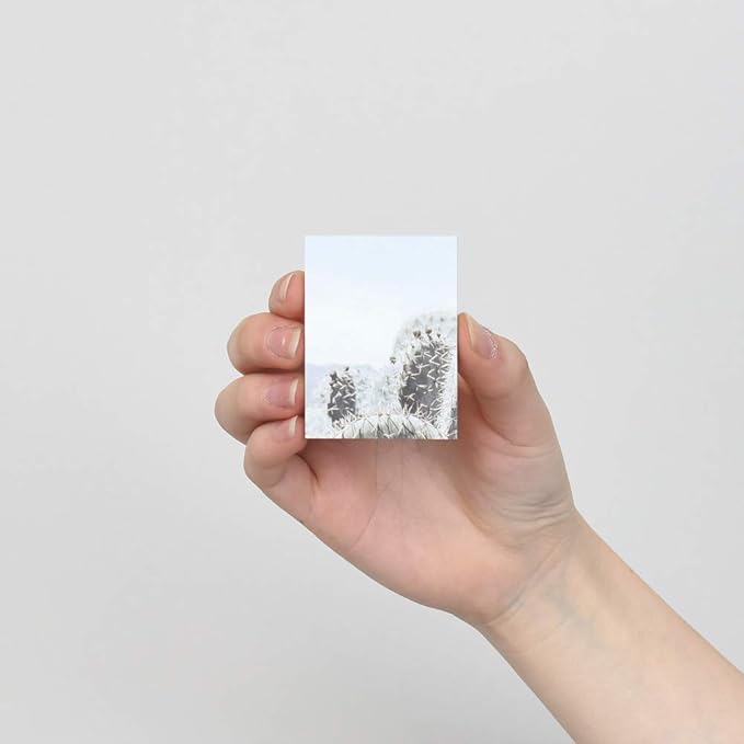 Sticky 5P Set - E (Last Summer A)