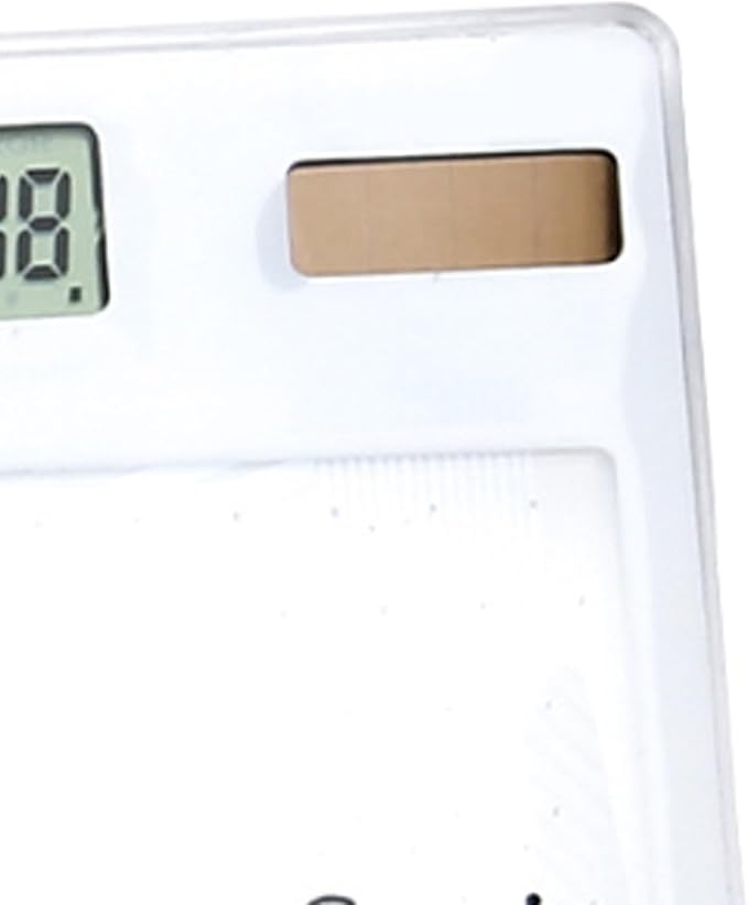 Solar Powered Calculator, Touch Screen 8 Digit LCD Display, Transparent Calculator for Office School Home with Lightweight and Compact Designf Business People and Family Use