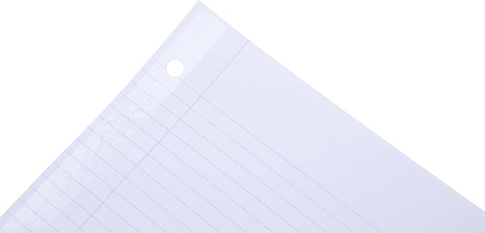 Mintra Reinforced Filler Paper (400 Sheets (4pk of 100), College Ruled)