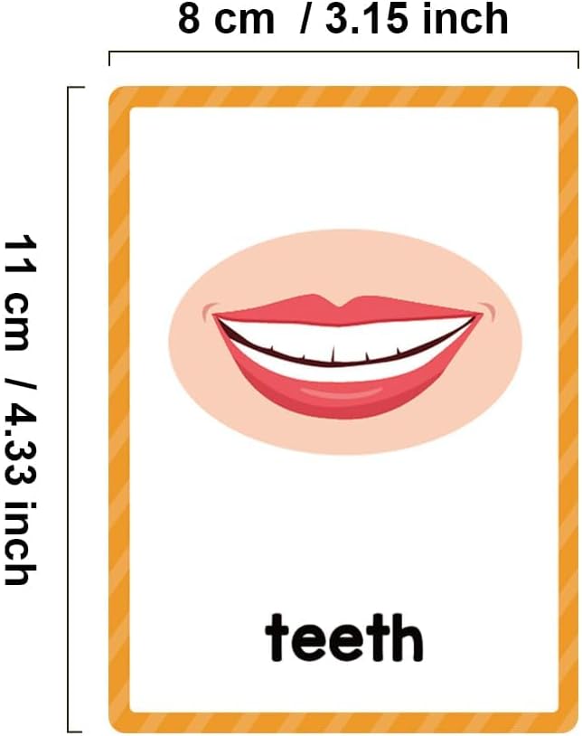 Lachilly Body Parts Learning Flashcards, High Frequency Words, Beginning Reading, Kindergarten to 1st Grade, ESL Teaching Materials, Autism Learning Materials, Vocabulary Building, 15 Cards, 28 Words