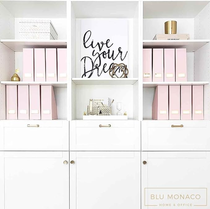 BLU MONACO | Cardboard Magazine File Holder Set of 6 Pink | Vertical Magazine File Holder with Gold Label Slots | Standing File Holder and Cardboard Bins for Shelves Desk Storage