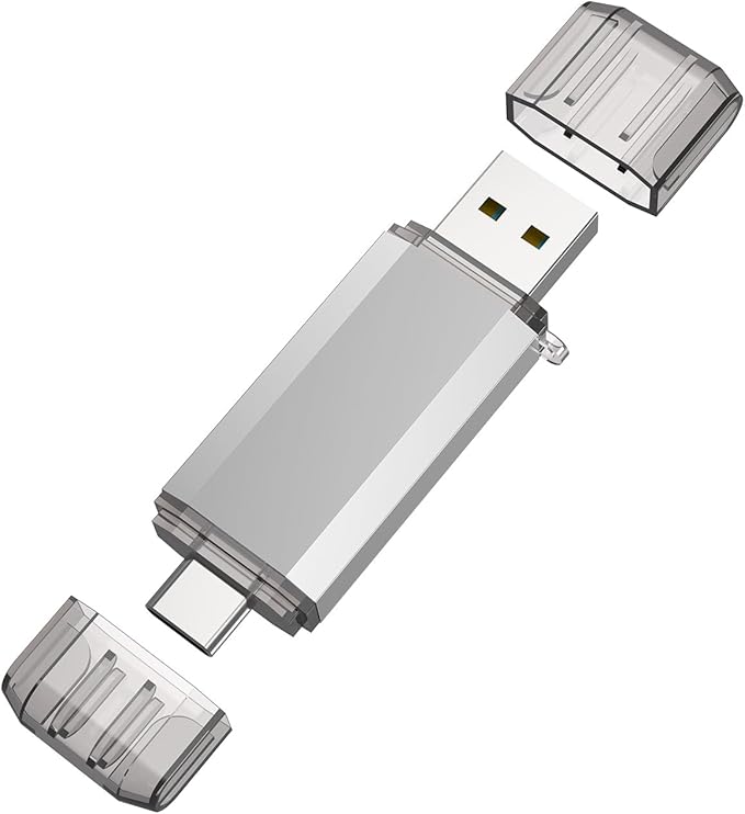 RAOYI 64GB USB 3.0 Type C Dual OTG Flash Drive USB C Thumb Drive Memory Stick with Keychain Hole Suitable for USB-C Smartphones, MacBook, Computers and Tablets (Silver)
