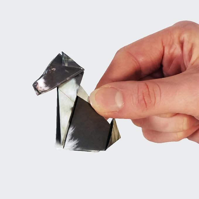 50 Sheets DIY Paper Cats, Origami Paper Kit to Fold Cute Cat Figures, Desk Origami Cats Decoration, Craft Activity for Adults Kids, Creative Gift for Kids Adults Cat Lovers（Cat&Dog, 50pcs）