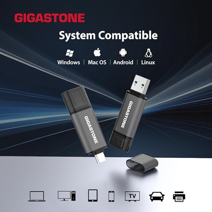 GIGASTONE 256GB Dual Flash Drive, Z40 USB 3.2 Gen 1, 2-in-1 Type-A & Type-C, 100MB/s Ultra Fast, Head Cap Design, Plug & Play for Smartphone/PC/Mac/TV/Car Audio, USB 2.0/3.0/3.1 Compatible