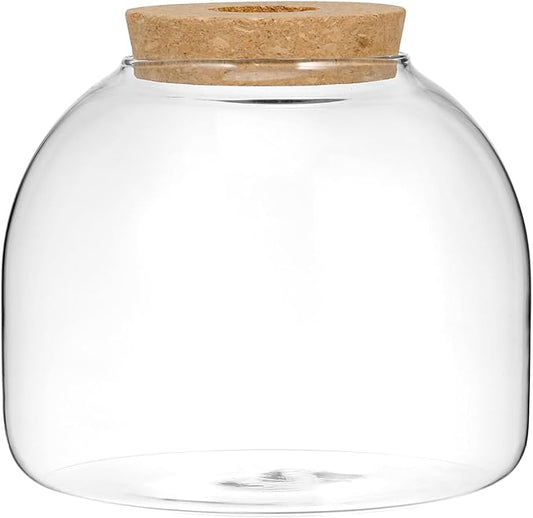 Milisten Glass Terrarium Jar with Cork Lid, 5.9×5.3 in Desktop Hydroponic Plant Container, Air Plant Propagation Vase for Home Office Decor & Miniature Garden Display
