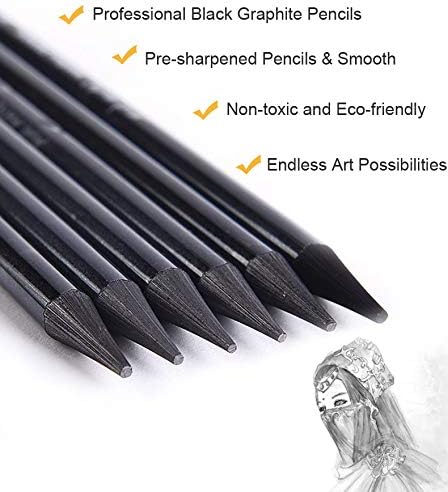 6 Pack Woodless Black Graphite Pencils Set Assorted HB 2B 4B 6B 8B EE Black Soft Sketch Pencils Drawing Set Art Painting Supplies Pencils for Drawing, Sketching Black Pencils for Beginners & Artists
