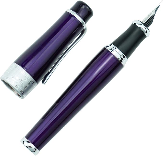 Asvine Duke Luxury Purple Fountain Pen Fine Nib, Charlie Chaplin Series, Unique Design Collection Heavy Pen with Pouch