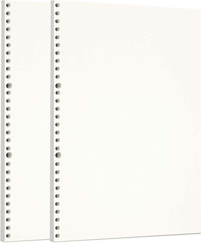 Zelten 2 Pack A4 90 Sheets/180 Pages Blank Loose Leaf Punched Paper Refills Paper for 30 Hole Binder Personal Organizer Diary Notebook Refillable Planner