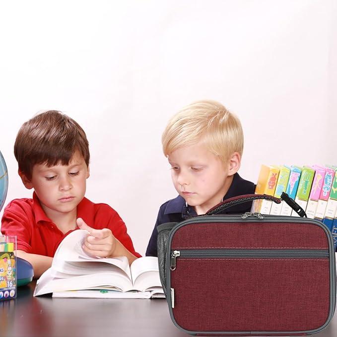 GYEUKHAM Insulated Lunch Box for School, Thermal Reusable Durable Freezable Lunch Bags for Kids Boys Girls Men Women - Small Soft Cooler Portable Lunch Tote Kit for Work Picnic Travel,Dark Red