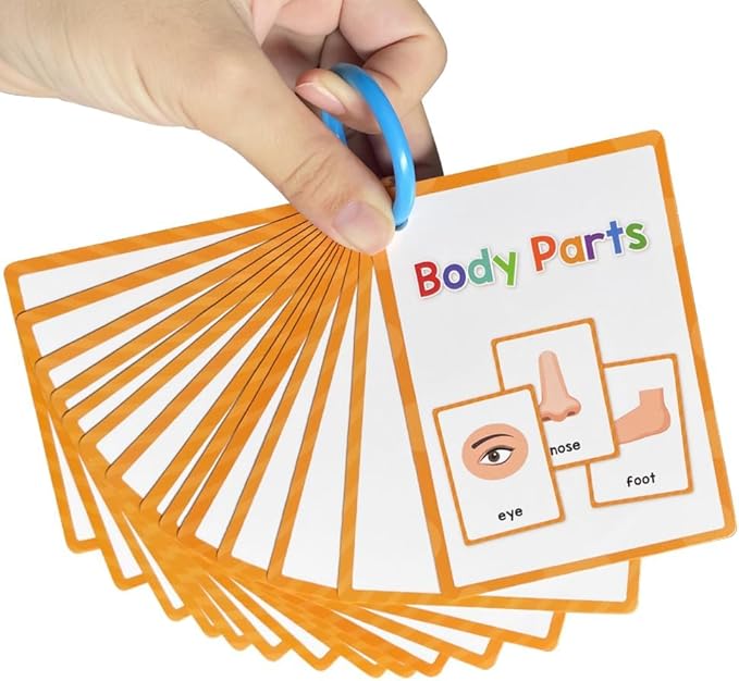 Lachilly Body Parts Learning Flashcards, High Frequency Words, Beginning Reading, Kindergarten to 1st Grade, ESL Teaching Materials, Autism Learning Materials, Vocabulary Building, 15 Cards, 28 Words