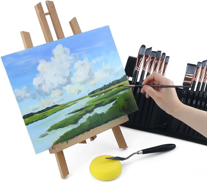 Transon 20Pcs Art Paint Brush Kit with Storage Case, 16 Brushes + Foam Brush Spatula Sponge for Acrylic Oil Watercolor Gouache, Adults Teens Beginners Art Supplies