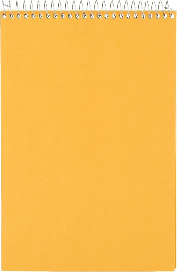 National Steno Notebook, Gregg-Ruled, Green Eye-Ease Paper, 12 Notebooks, 6" x 9", 60 Sheets Each - Bulk (36646-12)