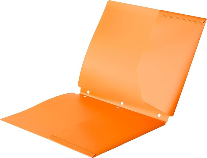 Amazon Basics Plastic 3-Hole Punch File Folders with 2 Pockets for Documents, Letter Size 8.5 x 11 inches, Assorted Colors, Pack of 6