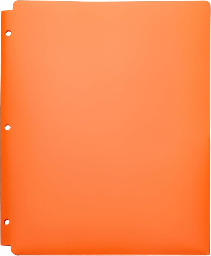 Amazon Basics Plastic 3-Hole Punch File Folders with 2 Pockets for Documents, Letter Size 8.5 x 11 inches, Assorted Colors, Pack of 6