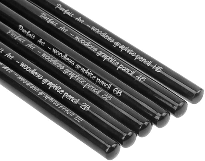 6 PCS Professional Woodless Charcoal Pencil Artist Sketching Drawing Pencil Graphite Sketch Pencils Charcoal Sticks Art Pencil Set for Drawing Shading Sketching 6 Grades of Graphite HB 2B 4B 6B 8B EE