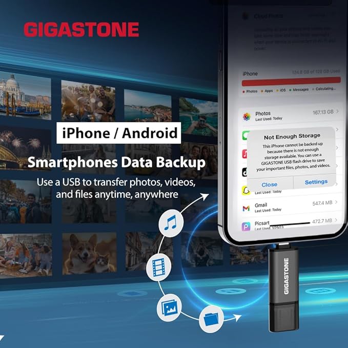 GIGASTONE 256GB Dual Flash Drive, Z40 USB 3.2 Gen 1, 2-in-1 Type-A & Type-C, 100MB/s Ultra Fast, Head Cap Design, Plug & Play for Smartphone/PC/Mac/TV/Car Audio, USB 2.0/3.0/3.1 Compatible