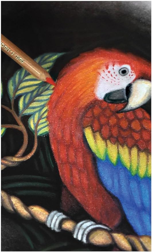 Koh-I-Noor Polycolor Drawing Pencil Set, 72 Assorted Colored Pencils in Tin, 1 Each (FA3827)