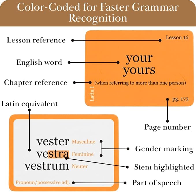 Latin Flashcards for Henle First Year – 240 Vocabulary Cards for Challenge B (Lessons 16–29) – Color-Coded Latin Study Cards for Homeschool & Classical Classroom