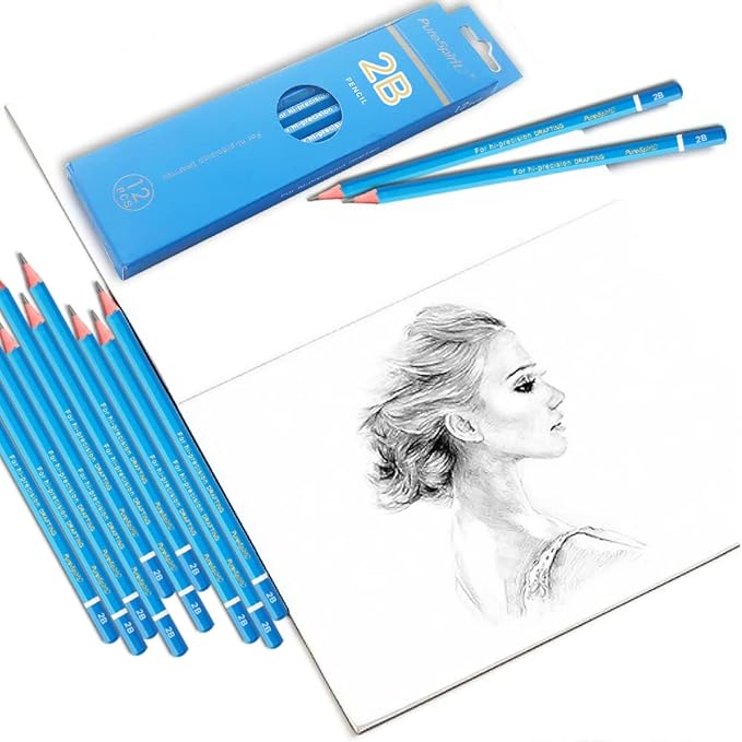 Sketch Pencils for Drawing 2B, 12pcs Professional Art Drawing Pencils for Shading, Sketching & Doodling | Graphite Pencil for Artists & Beginners