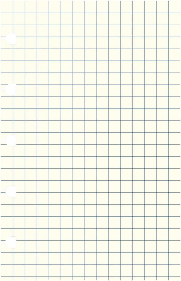 Filofax Notebooks Pocket Quad Journal Refill, Movable, 5 1/2 x 3 1/2 inches, 32 Cream Sheets Fits Filofax Refillable Pocket (B122905U)