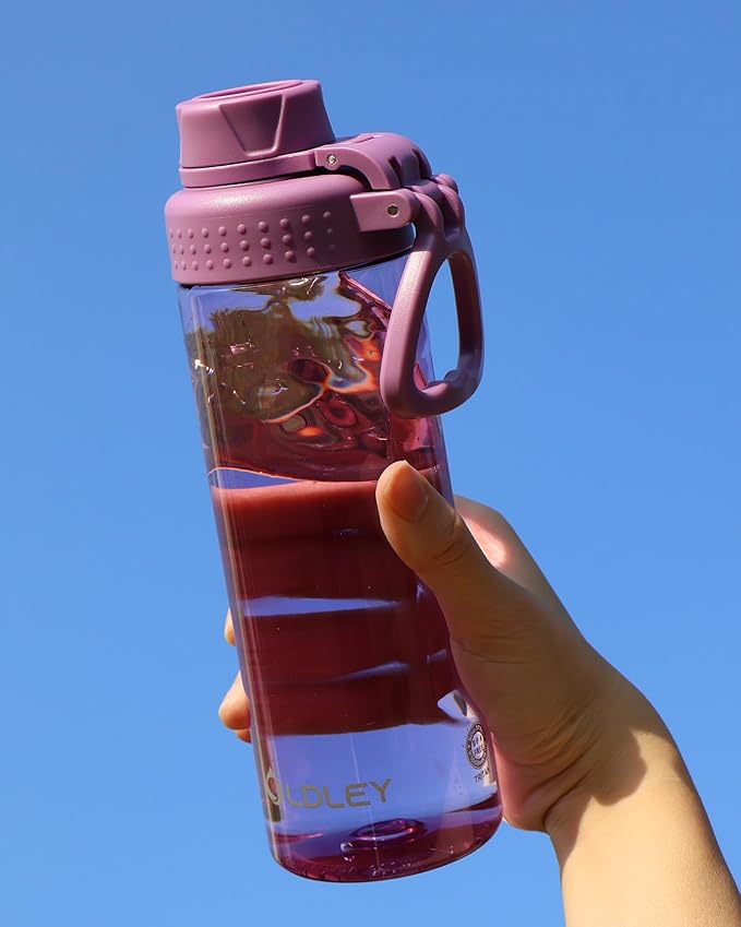 OLDLEY Water Bottles 20oz BPA Free Tritan Water Bottle with Carry Handle and Spout Lid, Leakproof Kids Water Bottle for Home,Travel, School, Outdoors, Dark Purple