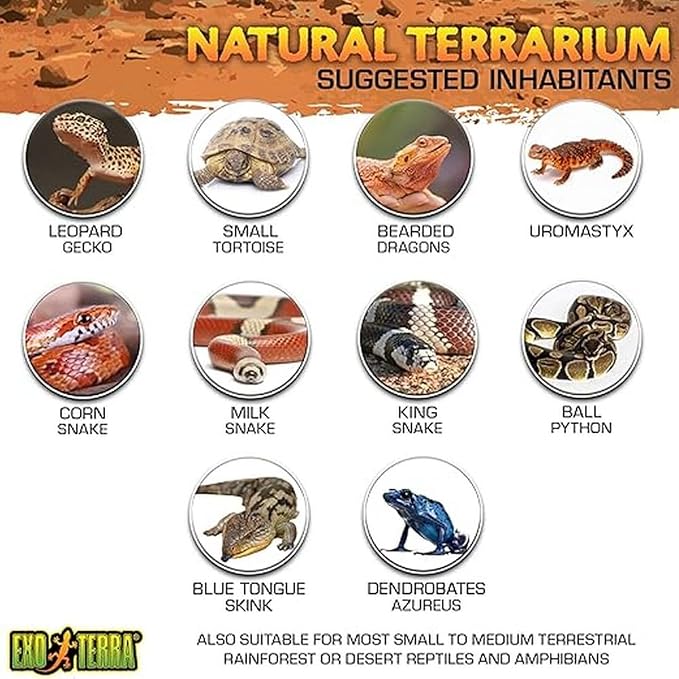 Exo Terra Glass Terrarium Kit, for Reptiles and Amphibians, Nano, 8 x 8 x 8 inches, PT2599A1