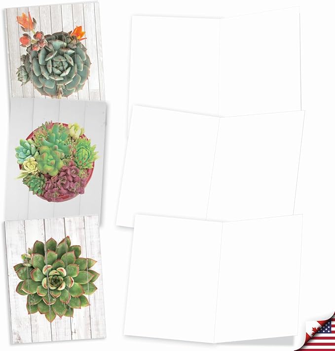 The Best Card Company - 20 Assorted Blank Plant Cards Boxed (4 x 5.12 Inch) (10 Designs, 2 Each) - Shiplap Succulents AM6438OCB-B2x10