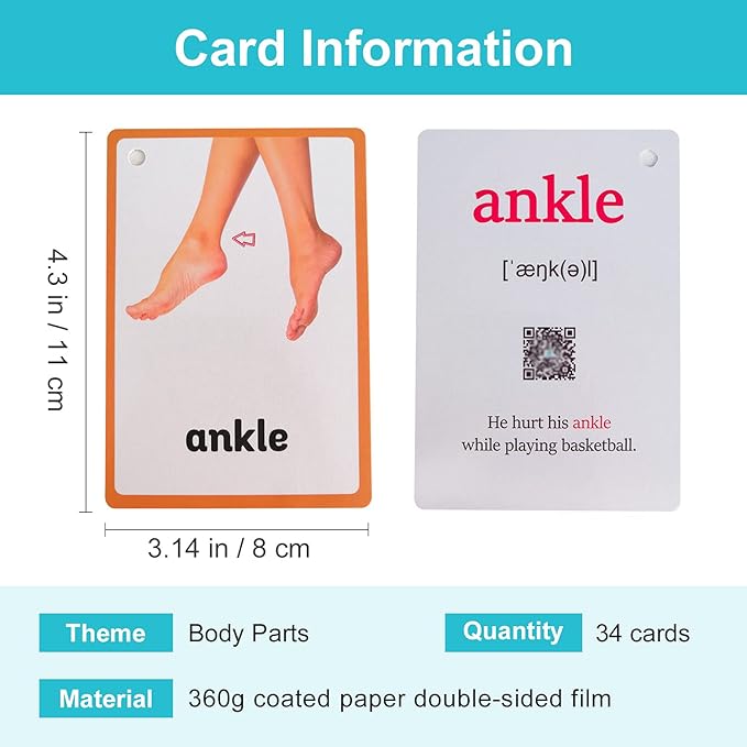 Lilias Body Parts Flash Cards, Toddler & Preschool Learning Toys, Kindergarten Learning Supplies, 4.3 x 3.14 Inch, 34 Cards