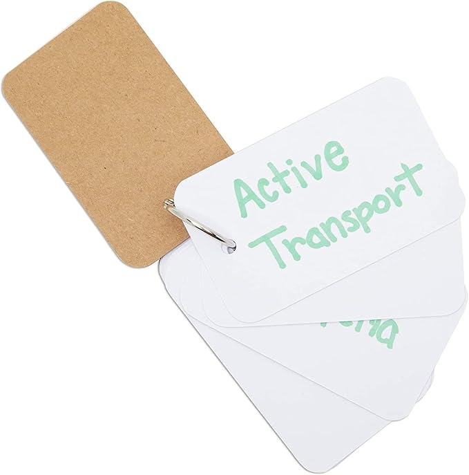 Blank Flash Cards - Notecards with Ring - Portable Mini Flashcards for Studying - Heavy 250 GSM Index Cards - Pack of 8, 400 Count, 2.2 x 3.5 in, White