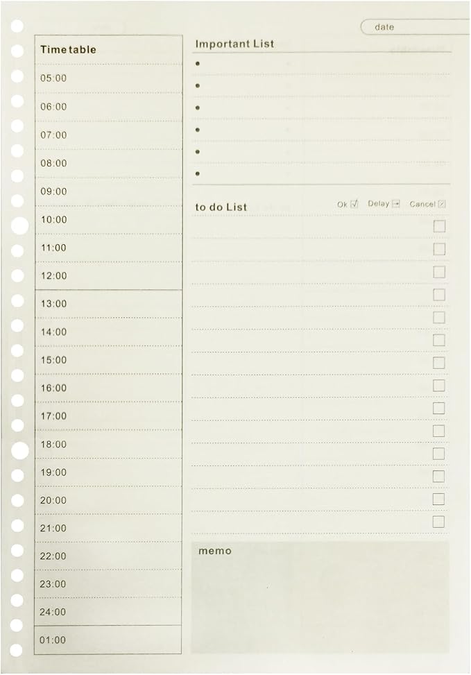 Zelten 2 Pack B5 120 Sheets/240 Pages Time Plan Loose Leaf Punched Paper Refills Paper for 26 Hole Binder Personal Organizer Diary Notebook Refillable Planner