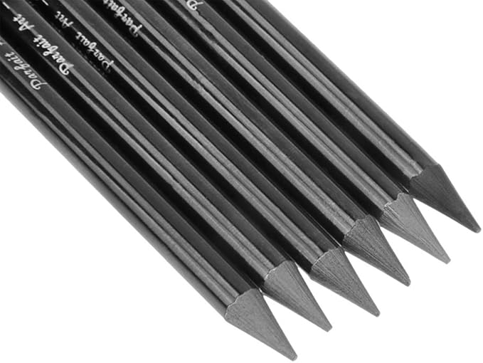 6 PCS Professional Woodless Charcoal Pencil Artist Sketching Drawing Pencil Graphite Sketch Pencils Charcoal Sticks Art Pencil Set for Drawing Shading Sketching 6 Grades of Graphite HB 2B 4B 6B 8B EE