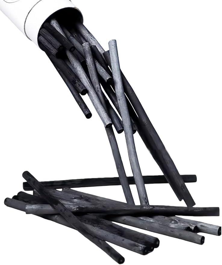 Professional Willow Charcoal Drawing Set, 25-Piece Artist Sketching Sticks, Black, 2-9mm Multiple Sizes (Willow Charcoal 2-4mm)