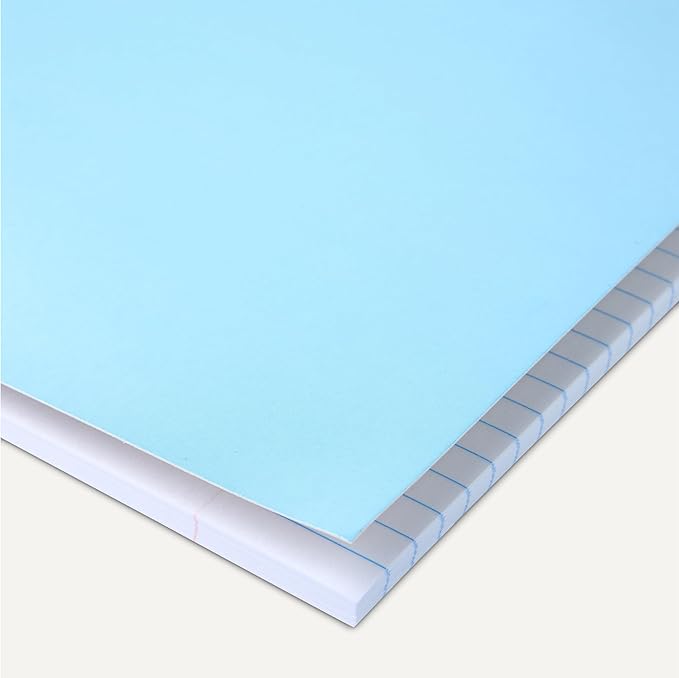 Amazon Basics Wide-Ruled Spiral Notebooks with Perforated Pages, 70 Sheets, 8" x 10.5", Light Blue, 2-Pack