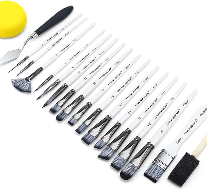 Transon 20Pcs Art Paint Brush Kit with Storage Case, 16 Brushes + Foam Brush Spatula Sponge for Acrylic Oil Watercolor Gouache, Adults Teens Beginners Art Supplies