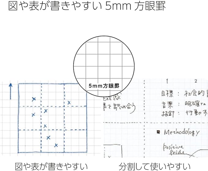 KOKUYO Campus Notebook, Business Type, Grid 5mm Ruled, Semi-B5, 40 Sheets, Black Cover, Japan Import (NO-4S5-D)