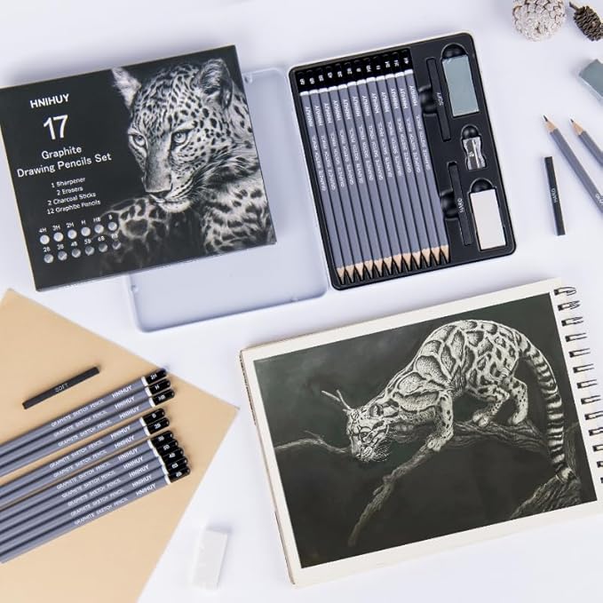 HNIHUY Professional Sketch Pencils Set, 17 Pcs, Graphite Pencils (8B-4H), Erasers and Sharpener, Art Drawing Pencil for Artists Beginner Sketching