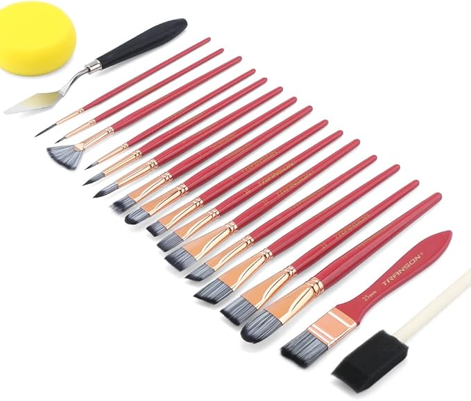Transon 20Pcs Art Paint Brush Kit with Storage Case, 16 Brushes + Foam Brush Spatula Sponge for Acrylic Oil Watercolor Gouache, Adults Teens Beginners Art Supplies
