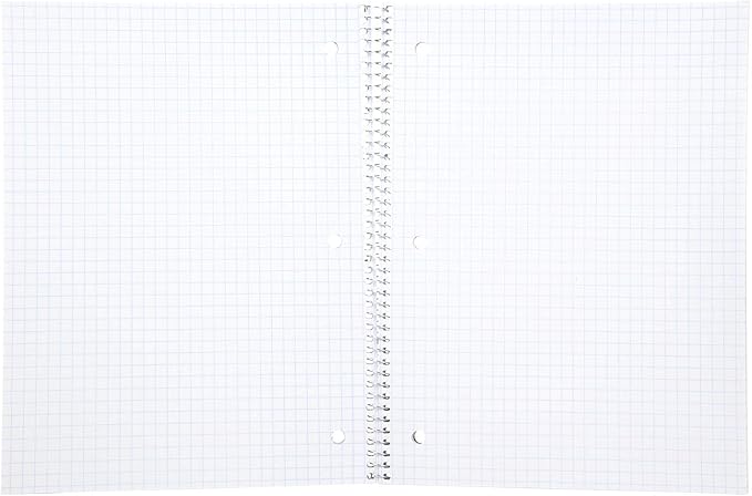 Mintra Office Spiral Notebooks, Wirebound, Journals for School, Work, Business, Aesthetic Stationery, Writing Pads, Teacher & Student Supplies (4, Solid Color, Graph)
