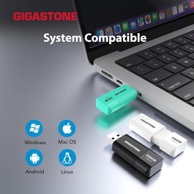 GIGASTONE 512GB Flash Drive, Z60 USB 3.2 Gen 1, 120MB/s Ultra Fast, Retractable Capless Slider Design, Data Storage, Backup for PC/Mac/TV/Car Audio, USB 2.0/3.0/3.1 Compatible