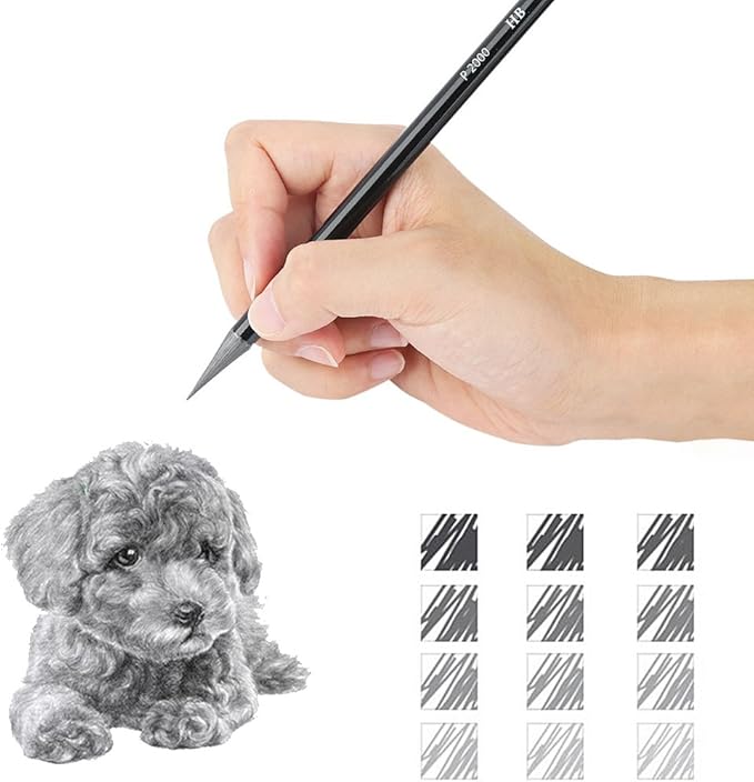 EVNEED Woodless Pencil Set,12 pcs Non-wood Graphite and Charcoal Sketching for Drawing,Writing,Shading,Color Black-Set of 12
